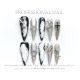 【1332】Psychedelic West Queen Nail Kit Shiny Trendy Patterns & DIY Edgy Accessories