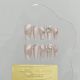 【1581】Nude Pink Cat Eye Nail Kit Shiny Cat Eye Polish & DIY Soft Accessories