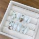 【1604】White Camellia Nail Kit Shiny Flower Patterns & DIY Elegant Accessories
