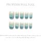 【F184】Factory Nails Shiny Basic Patterns & DIY Simple Accessories