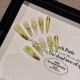 【2168】Fresh Green Nail Kit Shiny Green Tones & DIY Fresh Accessories