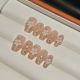 【2088】Cinnamon Flowers Nail Kit Shiny Flower Patterns & DIY Warm Tones