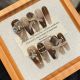 【2453】Christmas Melaleuca Nail Kit Shiny Warm Tones & DIY Holiday Accessories
