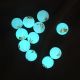 【XXX】Luminous Zodiac Loose Beads