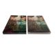 Special Price | The Gilded Age S1 | 3 Discs | Drama/Historical | 2022 | 115g